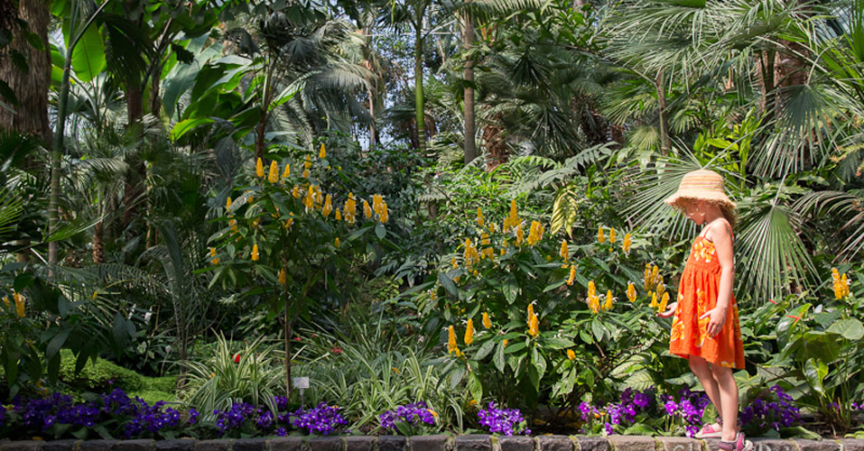 Pod palmami we Frankfurcie